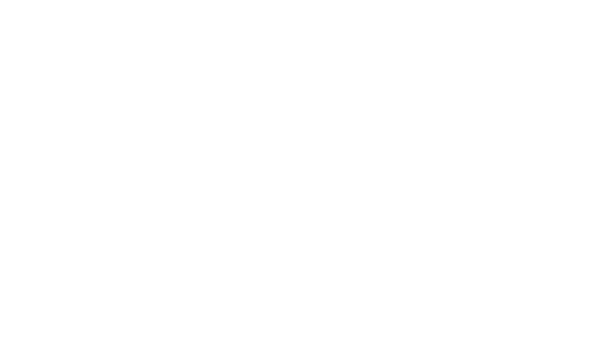D'Amelio Footwear